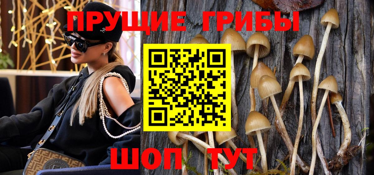Галлюциногенные грибы прущие грибы  Вход с VPN  Соликамск 